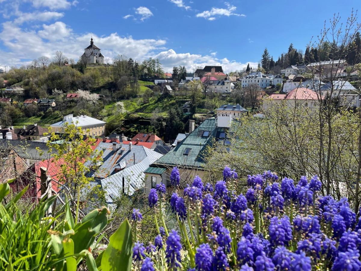 Cyprian Apartment Banská Štiavnica Eksteriør billede