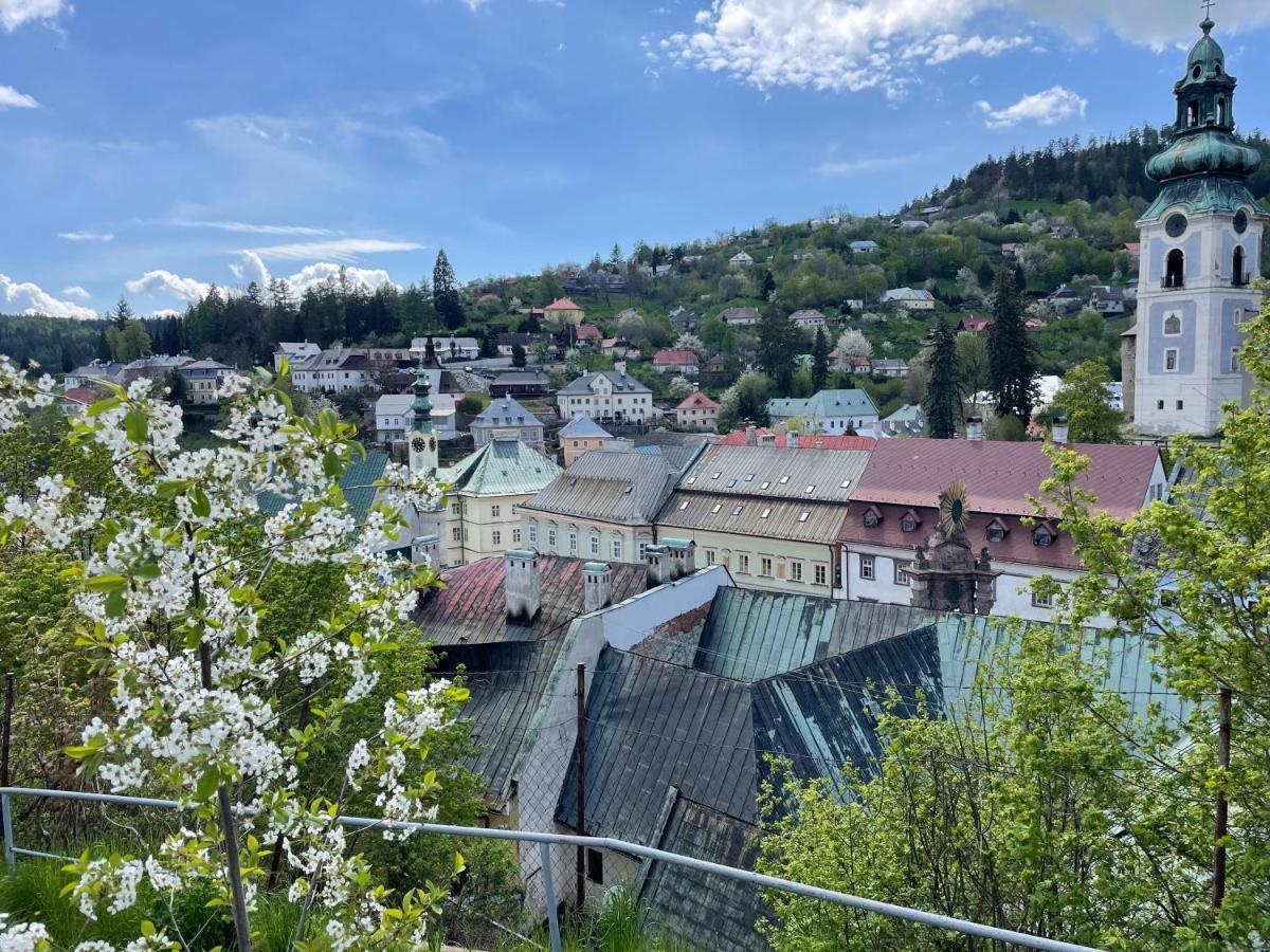 Cyprian Apartment Banská Štiavnica Eksteriør billede